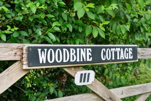 Photo 23- click for photo gallery